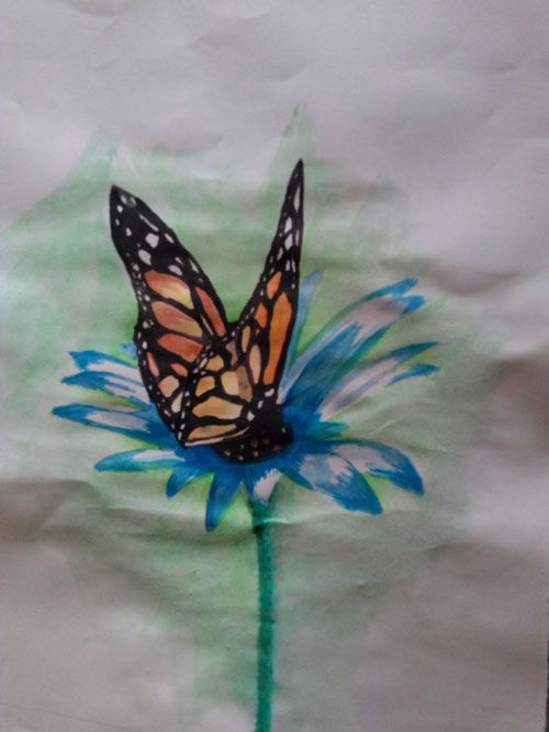 Butterfly drawing.